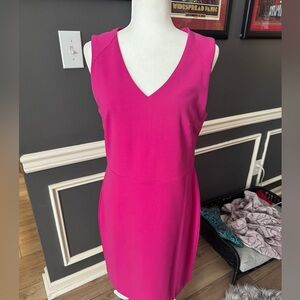 Banana Republic Fuchsia Garment
